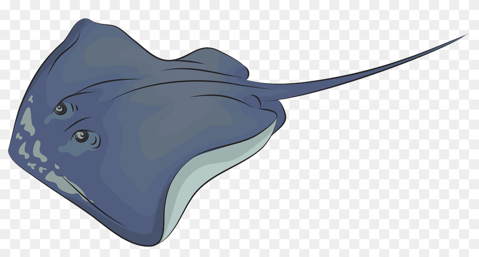 Sing Ray Cliparts For Freshwater Whipray, Animal, Fish, Sea Life, Stingray Free Png