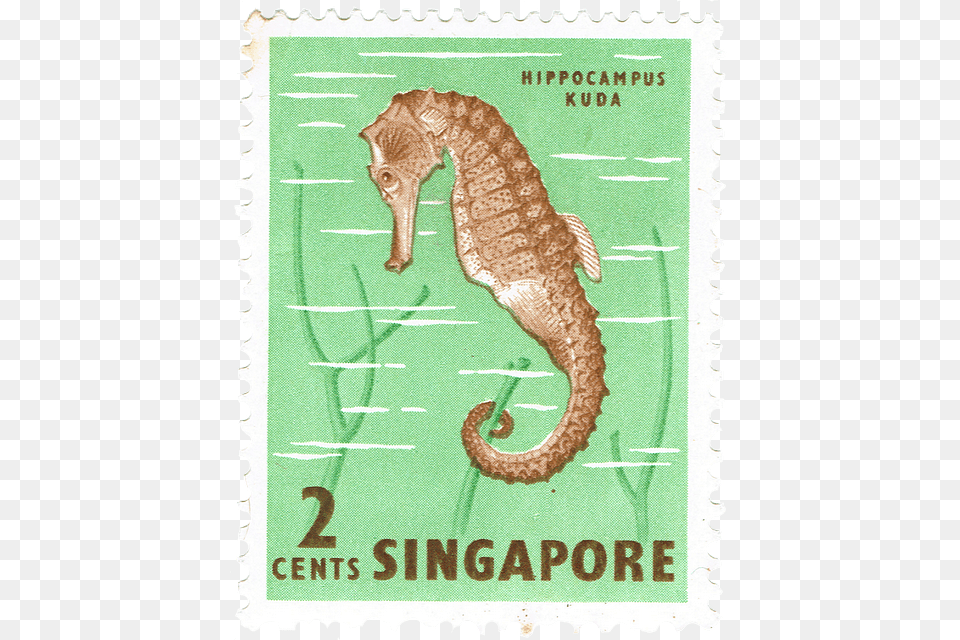 Singapore Fish Singapore Stamps Marine Life, Postage Stamp, Animal, Mammal, Sea Life Png