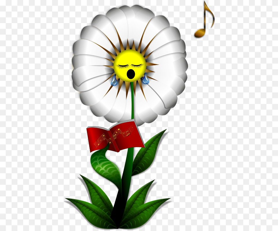 Singing Daisy By, Flower, Plant, Anemone, Petal Free Png