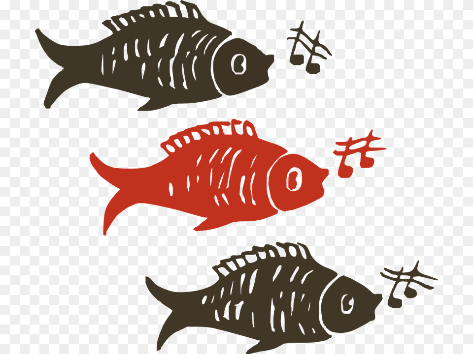 Singing Fish Clipart, Animal, Sea Life, Aquatic, Water Png