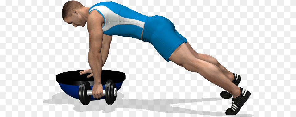 Single Arm Dumbbell Row On Bosu Involved Muscles During Press Up, Adult, Female, Person, Woman Free Png Download