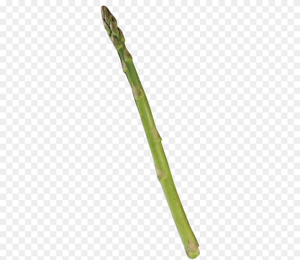 Single Asparagus, Food, Plant, Produce, Vegetable Free Transparent Png