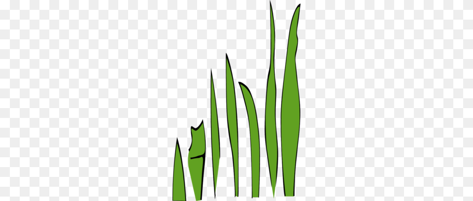 Single Blade Of Grass Clipart, Green, Plant, Leaf Png Image