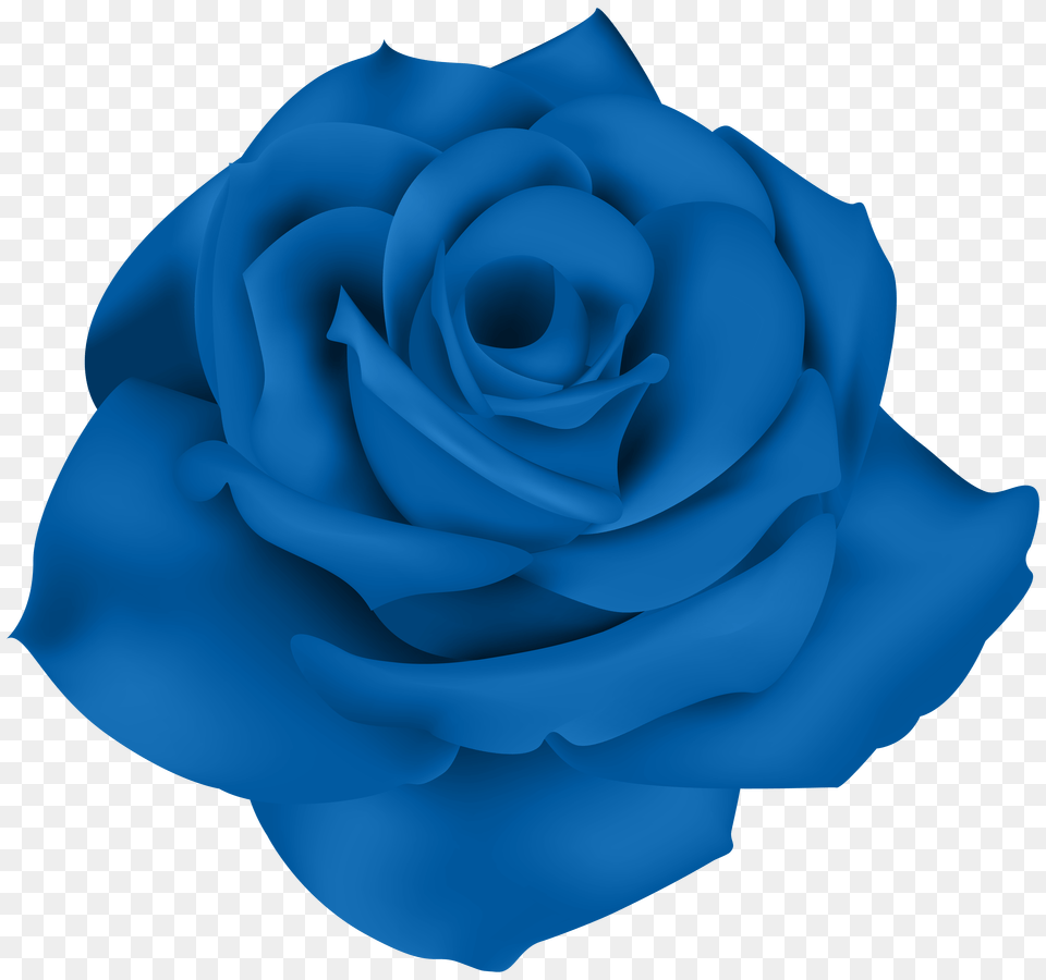 Single Blue Rose Clip Art, Flower, Plant Free Png