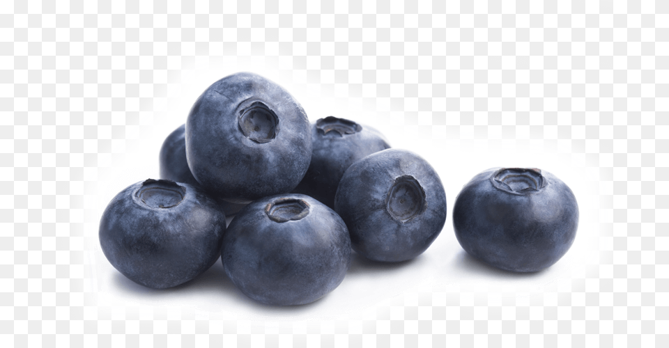 Single Blueberry, Berry, Food, Fruit, Plant Free Png