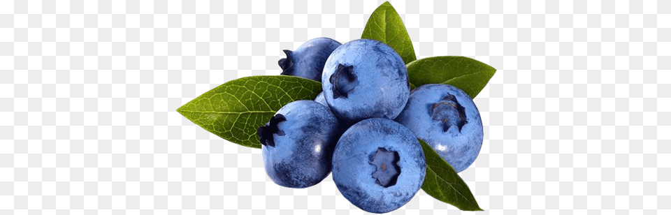 Single Blueberry Lactic Acid 30 At Home Chemical Peel, Berry, Food, Fruit, Plant Free Transparent Png