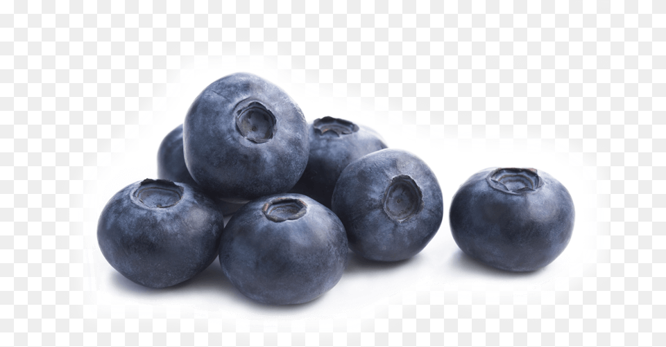 Single Blueberry Picture Foods To Increase Beauty, Berry, Food, Fruit, Plant Free Png Download