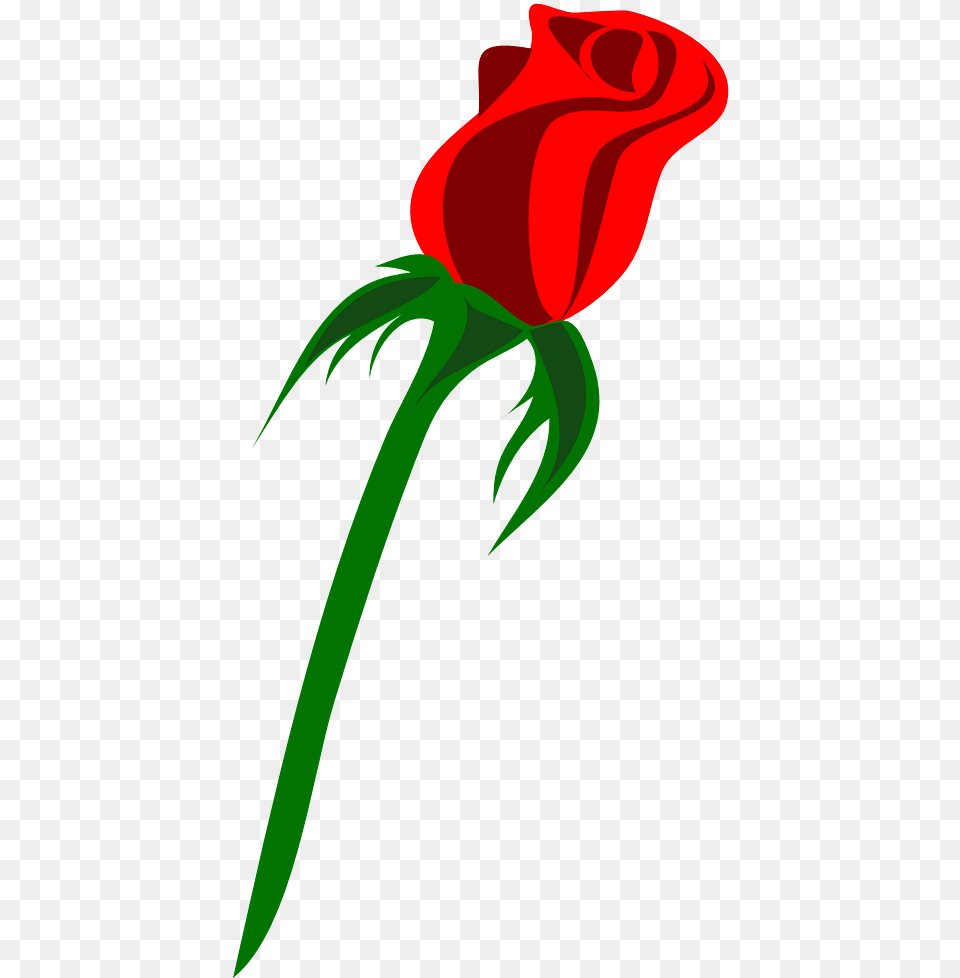 Single Bud Rose Vectors, Flower, Plant, Dynamite, Weapon Free Transparent Png
