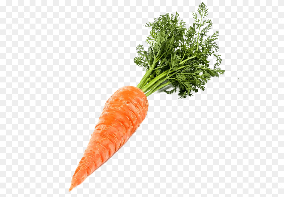 Single Carrot Transparent Background Carrot, Food, Plant, Produce, Vegetable Png Image