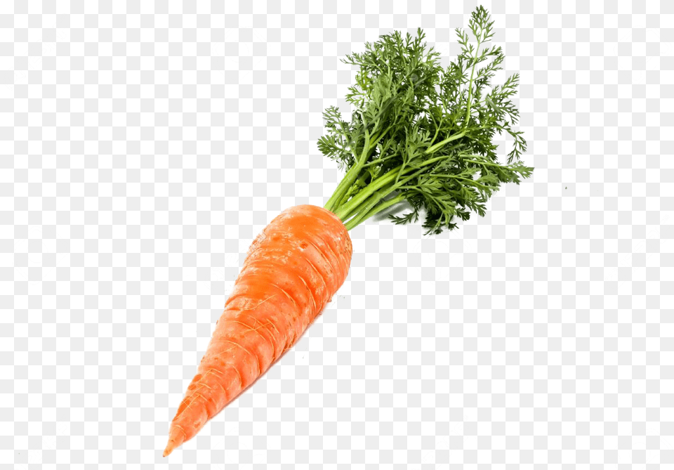 Single Carrot Background Carrot, Food, Plant, Produce, Vegetable Free Transparent Png