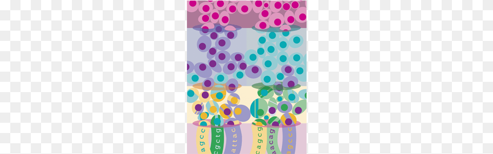 Single Cell Profiling Of The Developing Mouse Brain Rna Seq, Pattern, Paper, Confetti, Polka Dot Png