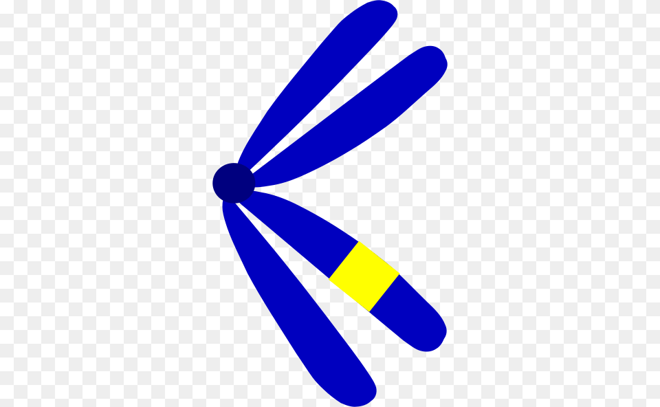 Single Chromosome Clip Art, Animal, Dragonfly, Insect, Invertebrate Free Transparent Png