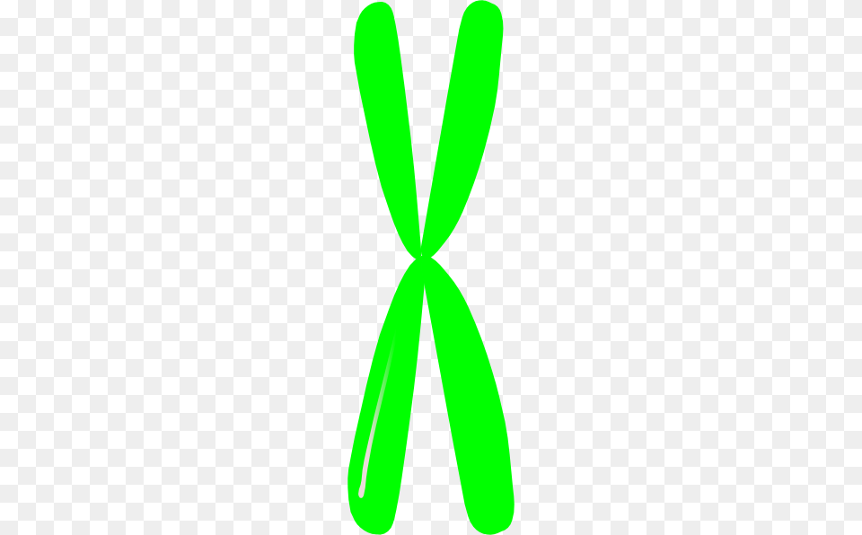 Single Chromosome Clip Arts For Web, Leaf, Plant, Accessories, Formal Wear Png