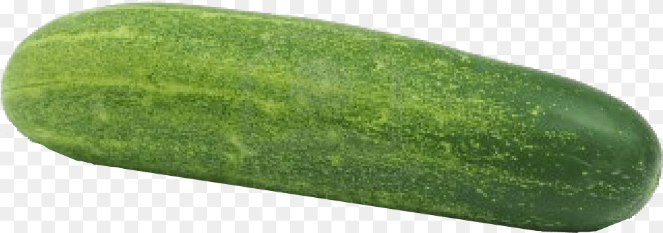 Single Cucumber, Food, Plant, Produce, Vegetable Free Png Download