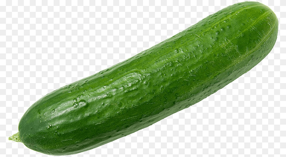 Single Cucumber Background Cucumber, Food, Plant, Produce, Vegetable Free Transparent Png