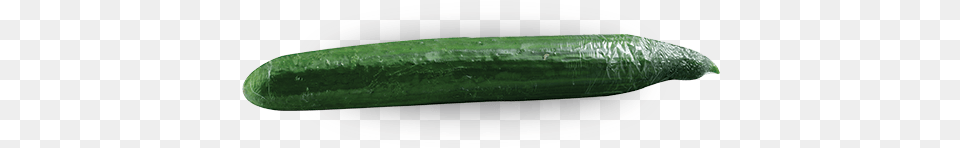 Single Cucumber Image Cucumber, Food, Plant, Produce, Vegetable Free Png Download