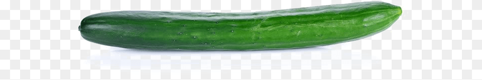 Single Cucumber Image With Transparent Background Cucumber Single, Food, Plant, Produce, Vegetable Free Png Download