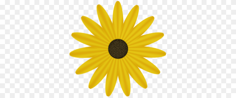 Single Daisy Clipart Free Clipart, Flower, Plant, Sunflower, Petal Png
