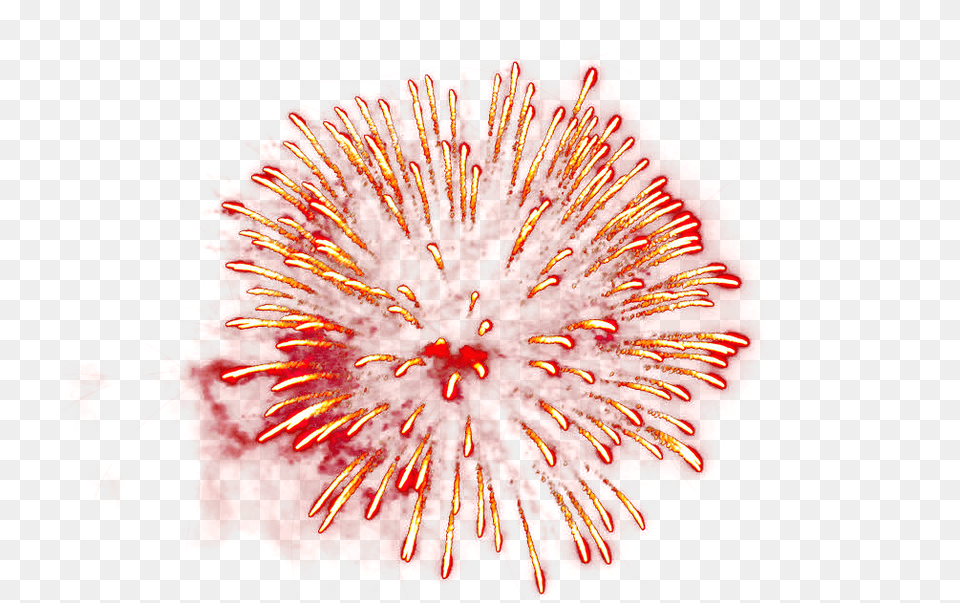 Single Festive Fireworks Download Transparent Single Firework, Plant, Pattern Png