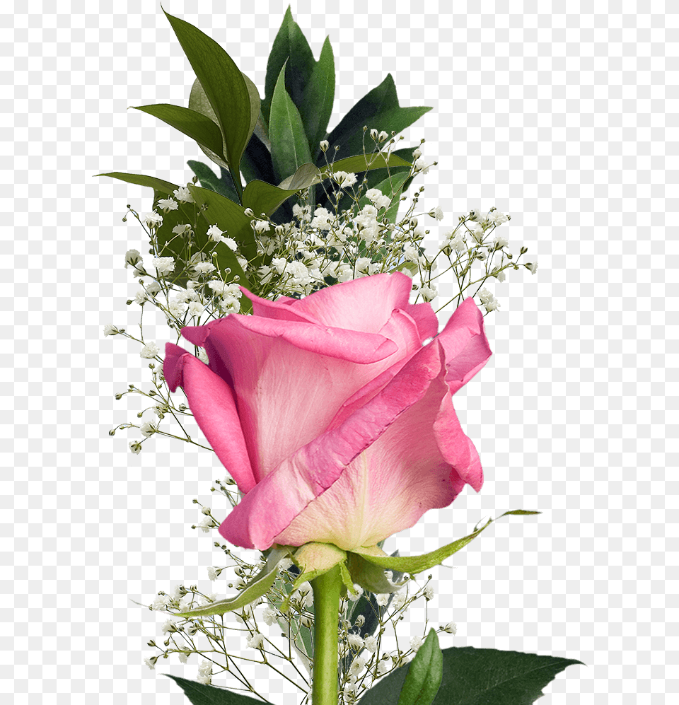 Single Flower Bouquet Assorted Color Roses And Fillers Single Flower, Flower Arrangement, Flower Bouquet, Plant, Rose Free Png