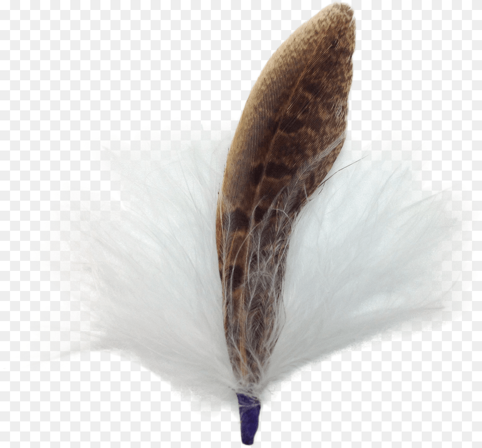 Single German Hat Feather Decor Whitebrown Calligraphy, Flower, Petal, Plant, Animal Free Transparent Png