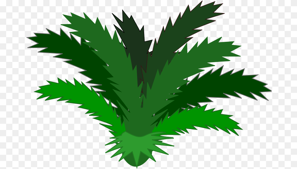 Single Jungle Plants Clip Art, Green, Leaf, Plant, Palm Tree Free Png