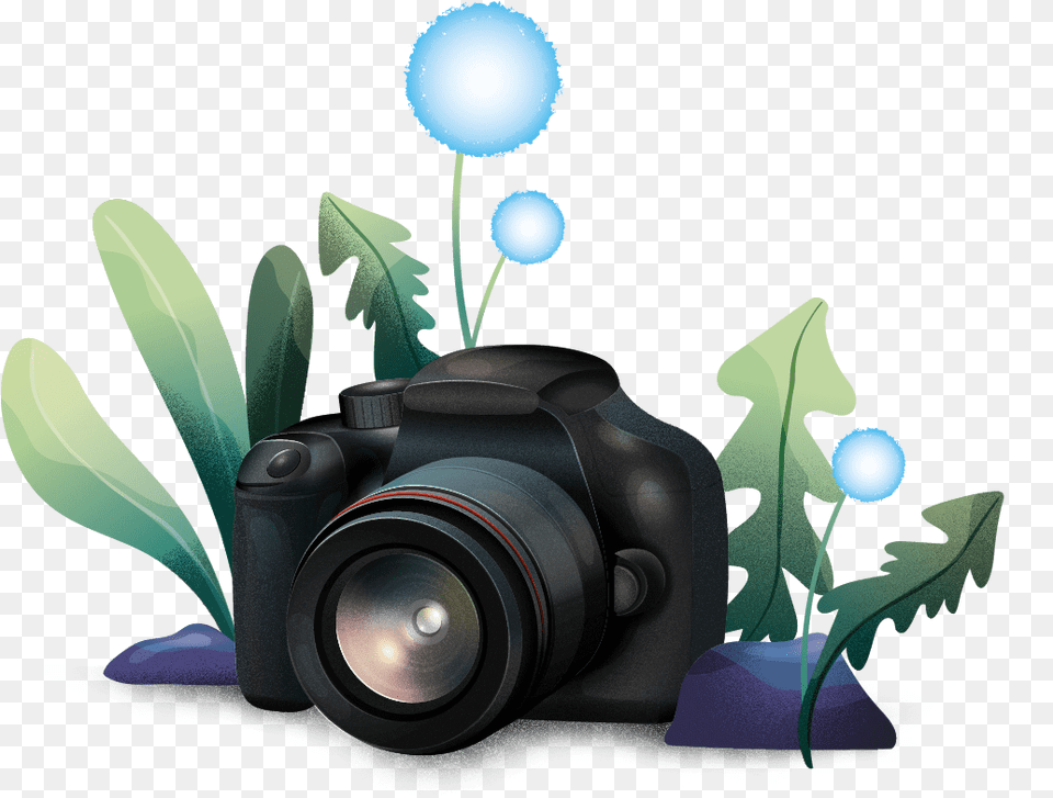 Single Lens Reflex Camera, Electronics, Video Camera, Photography Png Image