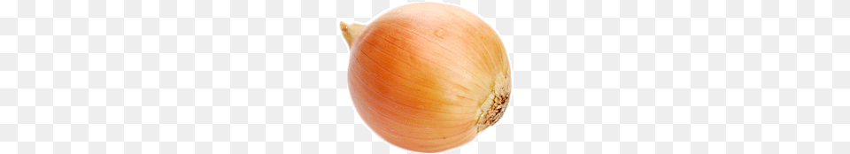 Single Onion, Food, Produce, Plant, Vegetable Png Image