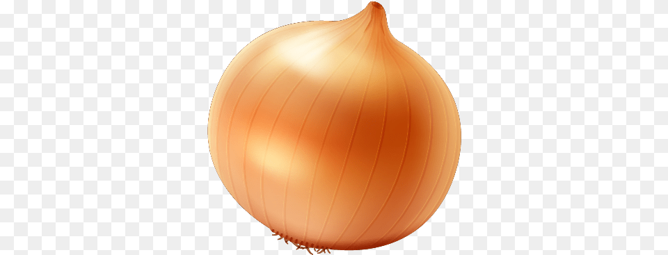 Single Onion Free Yellow Onion, Food, Produce, Plant, Vegetable Png