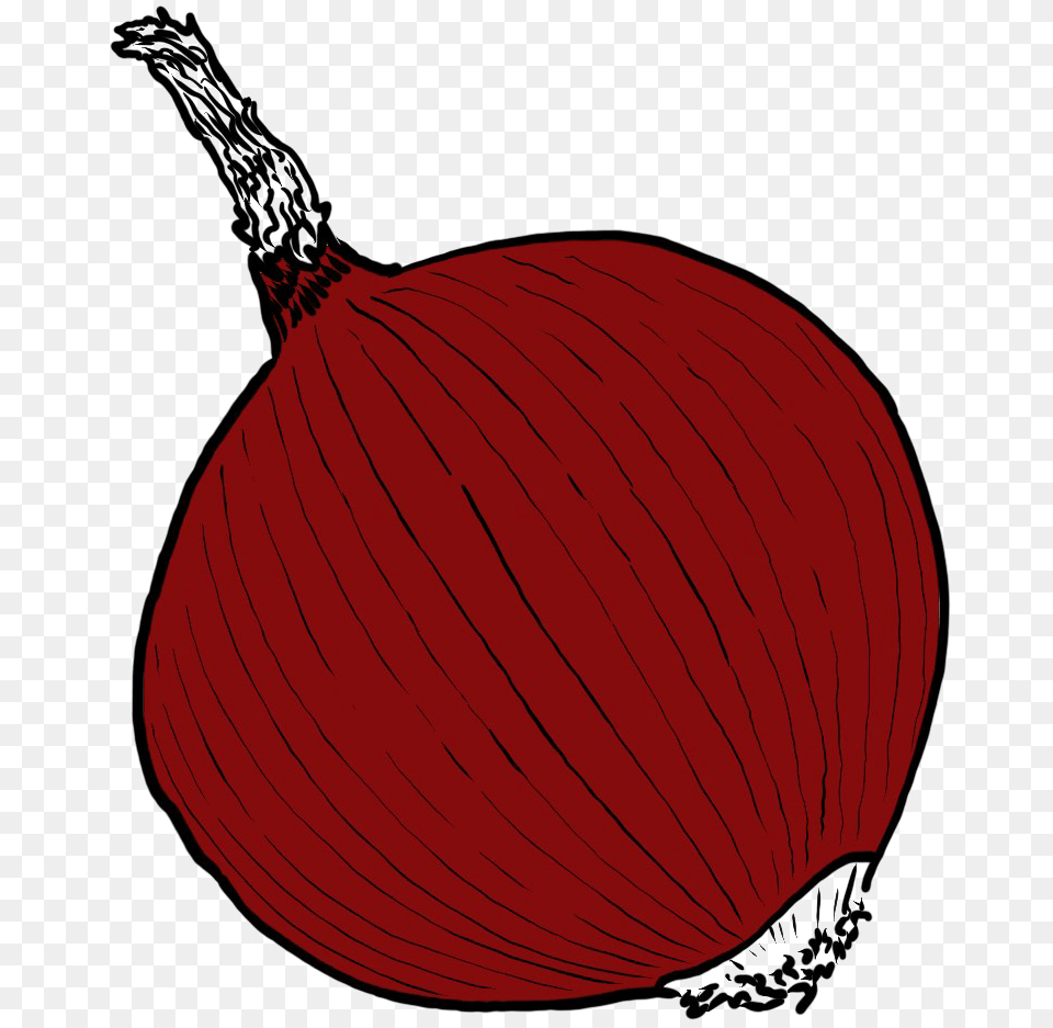 Single Onion Illustration, Food, Produce, Plant, Vegetable Free Png Download