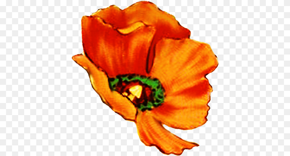 Single Orange Flower Clip Art, Petal, Plant, Rose, Poppy Png