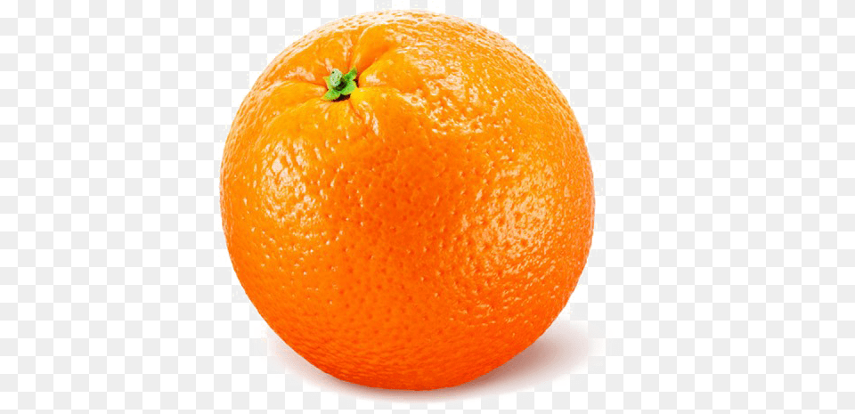 Single Orange Image Orange Fruit With Colour, Citrus Fruit, Food, Plant, Produce Free Transparent Png