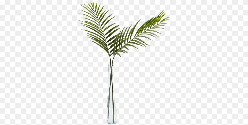 Single Palm Leaf In Vase, Jar, Palm Tree, Plant, Potted Plant Free Transparent Png