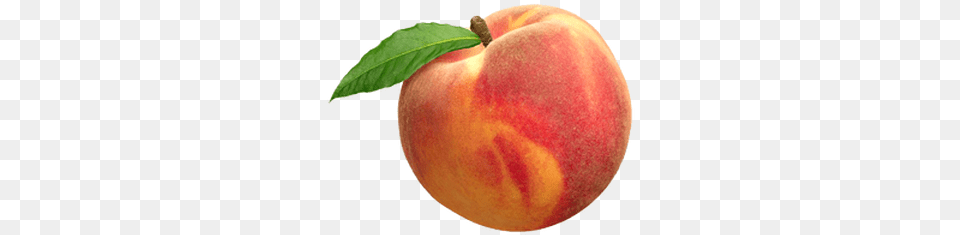 Single Peach Transparent, Produce, Food, Fruit, Plant Free Png Download