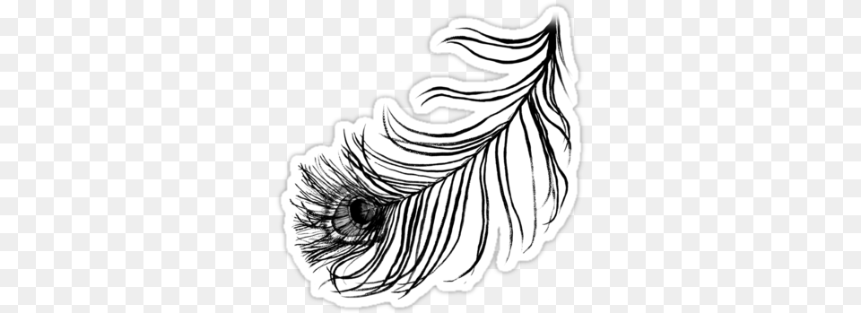 Single Peacock Feather 25 Off Iphone And Samsung Clip Art, Drawing, Person, Floral Design, Graphics Free Png