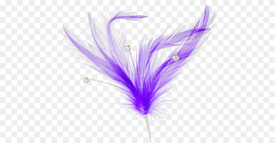Single Peacock Feathers Download Flutters Feathers Animal Product, Anther, Flower, Plant, Purple Free Transparent Png