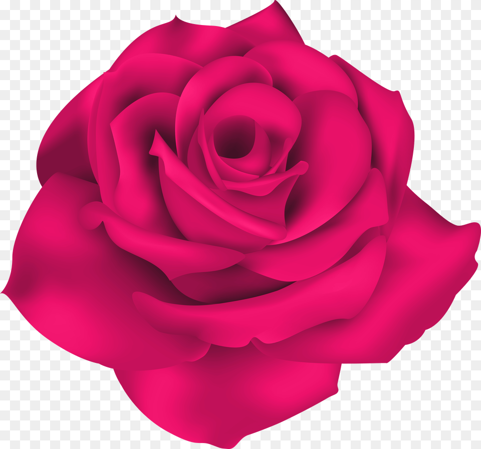 Single Pink Rose Clip Art Png Image