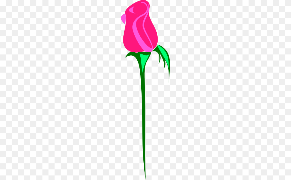 Single Pink Rose Clip Arts For Web, Flower, Plant, Dynamite, Weapon Free Png
