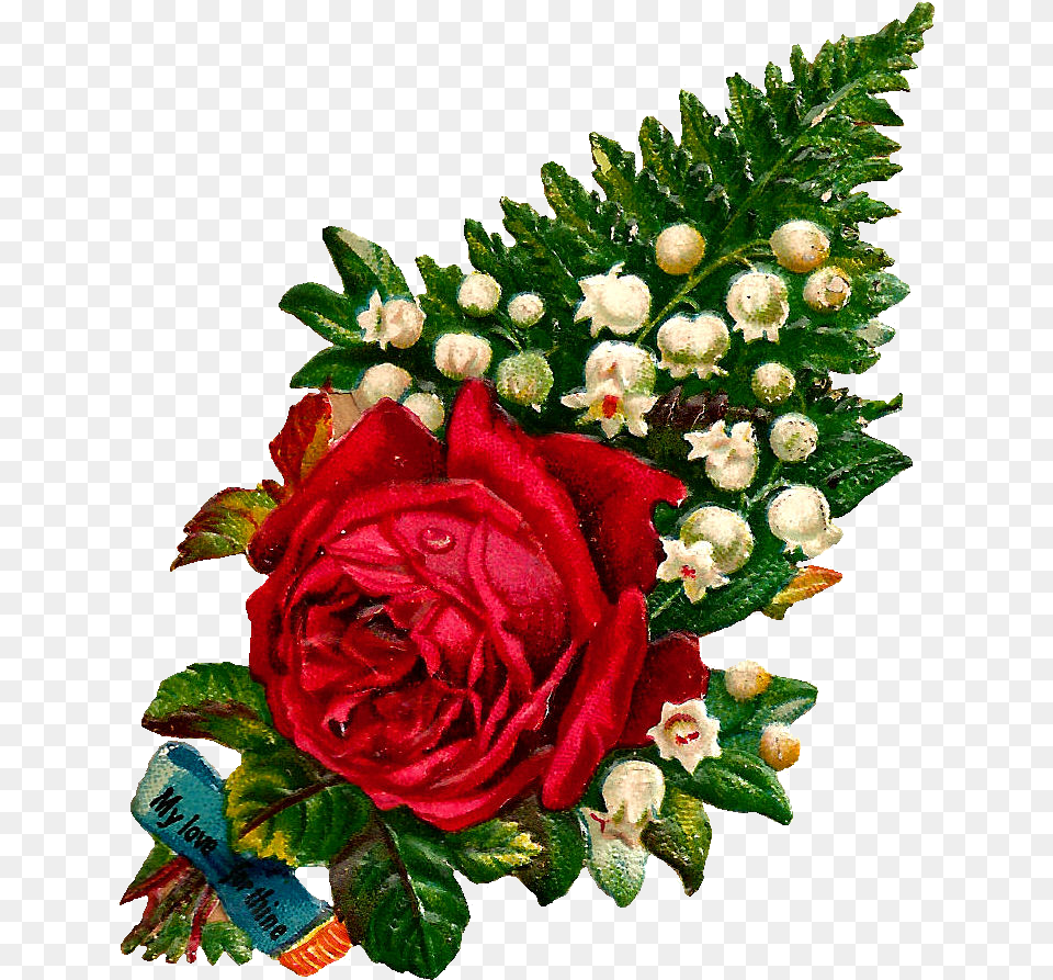 Single Red Rose Flower Love, Flower Arrangement, Flower Bouquet, Plant, Pattern Png