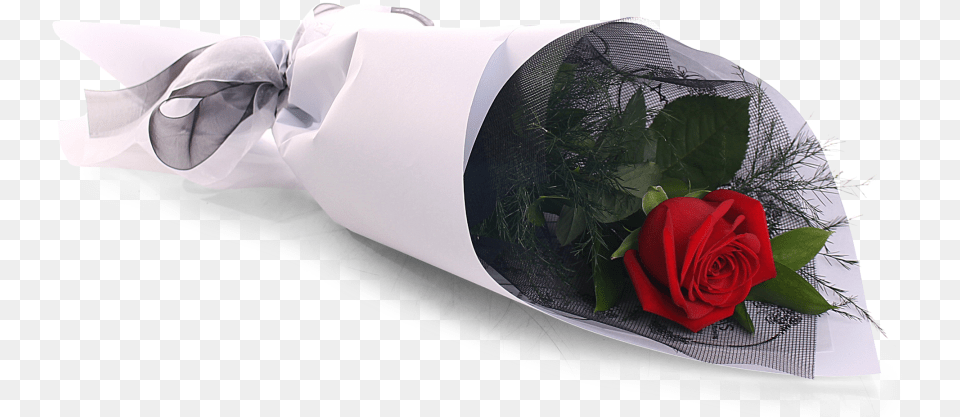 Single Red Rose Single Red Rose Bouquet, Flower, Flower Arrangement, Flower Bouquet, Plant Free Png Download