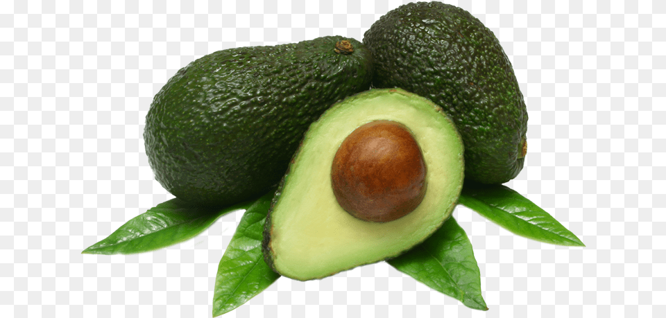 Single Ricardo Carrasco High Resolution Avocado Hd, Food, Fruit, Plant, Produce Free Png