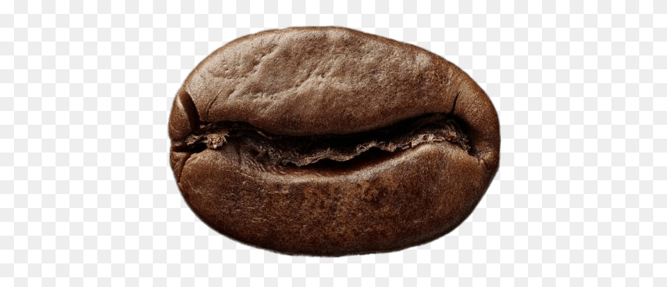 Single Roasted Coffee Bean, Beverage, Burger, Food, Coffee Beans Free Png