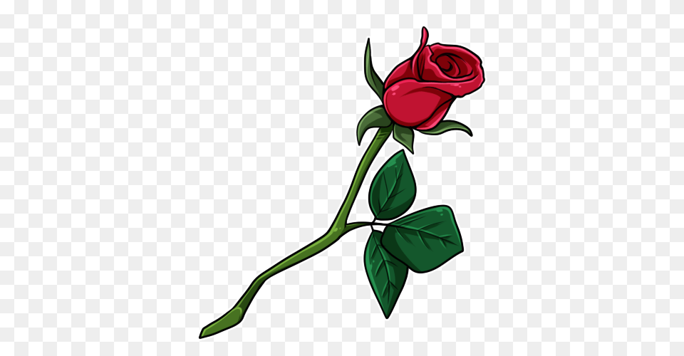 Single Rose, Flower, Plant Free Png Download