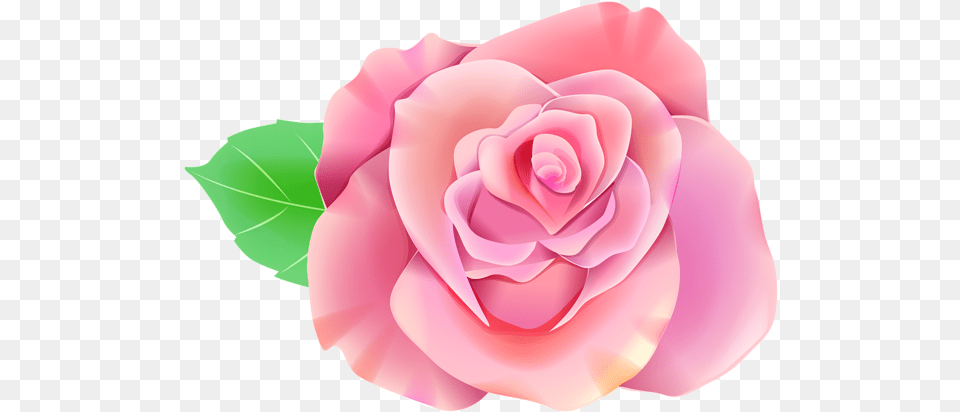 Single Rose Clip Art Image Single Flower Clipart, Plant, Petal Free Png