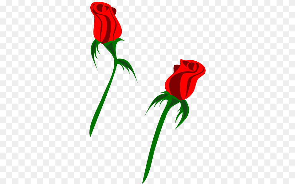 Single Rose Cliparts, Flower, Plant, Dynamite, Weapon Png Image