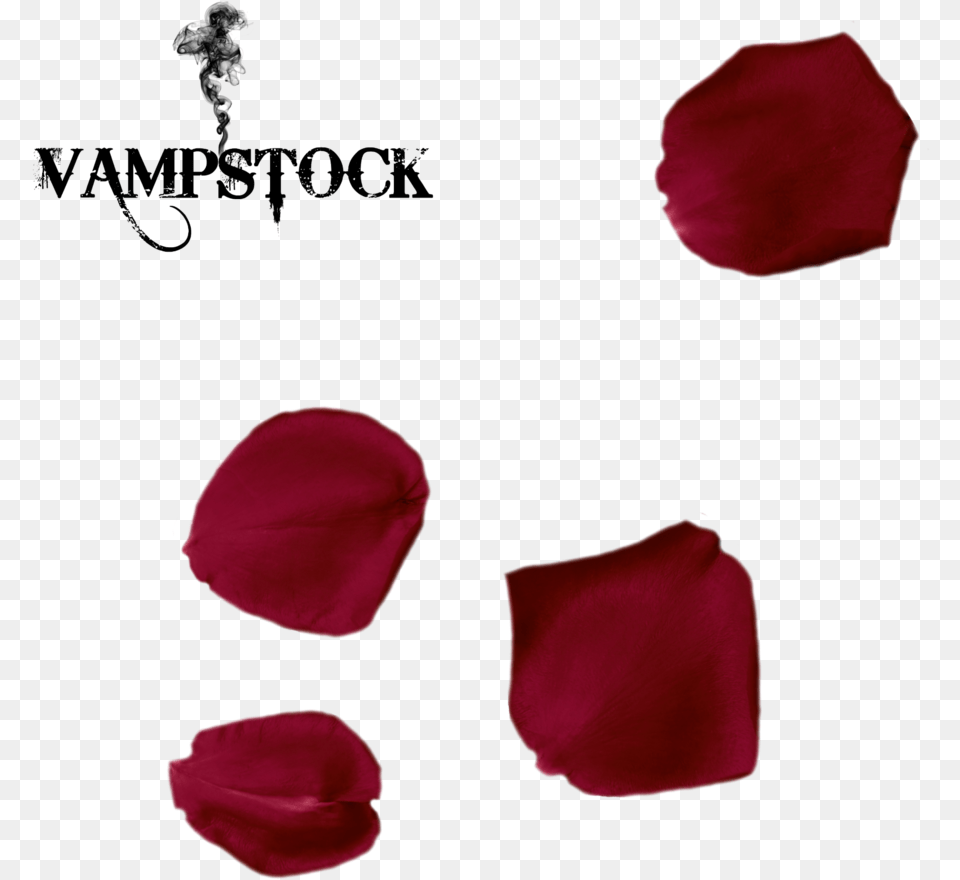 Single Rose Petal, Flower, Plant Free Png