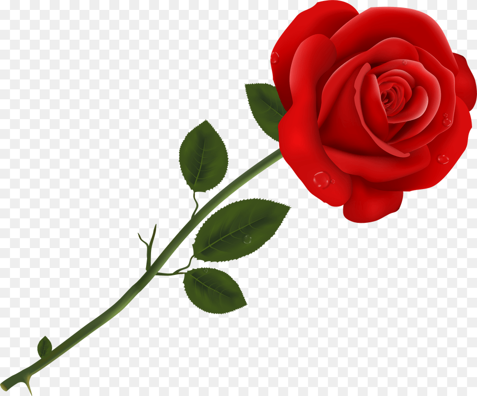 Single Rose Rose Clipart, Flower, Plant Free Transparent Png
