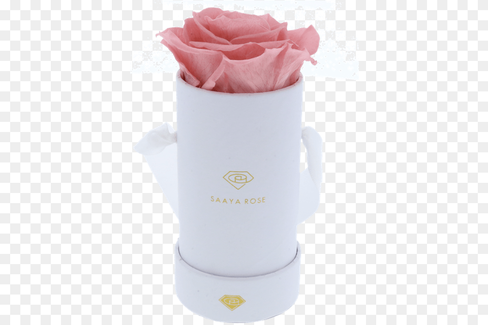 Single Round Rose Box Box, Flower, Plant, Paper, Flower Arrangement Free Png Download