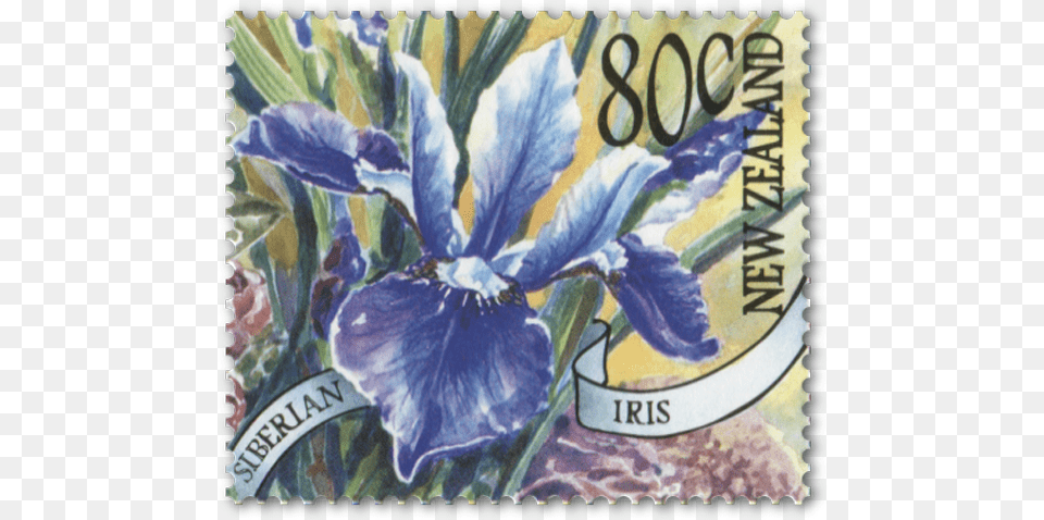 Single Stamp Iris, Flower, Plant, Postage Stamp Free Transparent Png