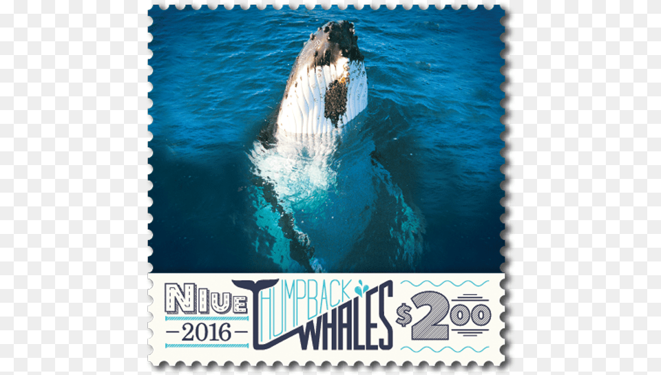 Single Stamp Postage Stamp, Animal, Mammal, Sea Life, Whale Png